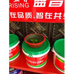 江門(mén)防水涂料招商,盈智防水,防水涂料招商生產(chǎn)廠家